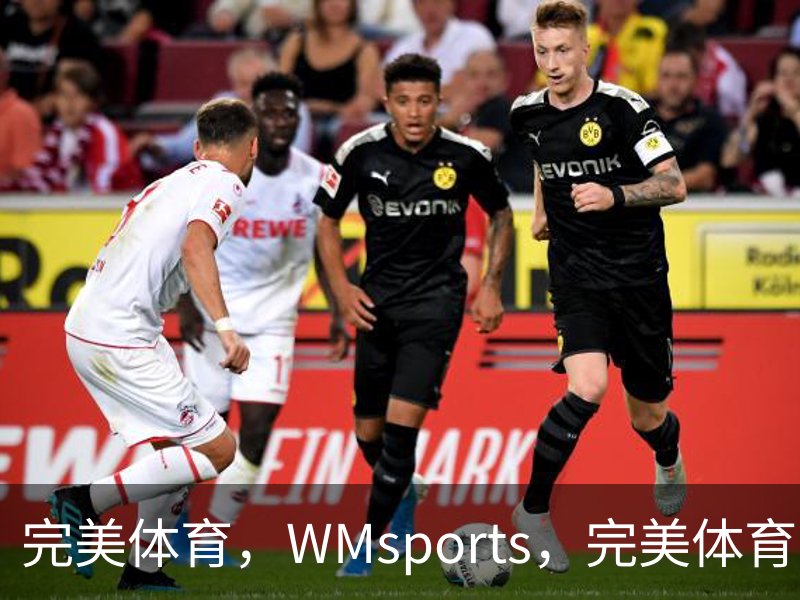 了解完美体育，WMsports，完美体育官方，完美体育平台，完美体育下载